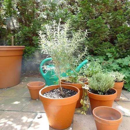 דירה Garden On Art Nouveau Street In *