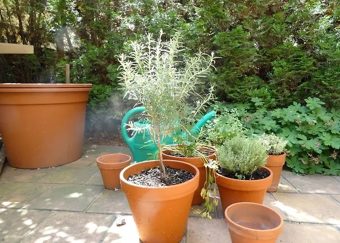 Apartmán Garden On Art Nouveau Street In *